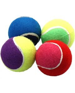 Tennis Ball  2.5" Assorted Pack 4