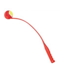 Fling 'N' Fetch