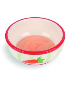 Carrot Stripe Pet Bowl