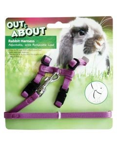 Rabbit Harness & Lead Set Purple