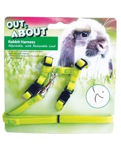 Rabbit Harness & Lead Set Green