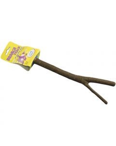 Branch Perch