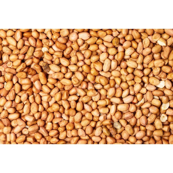 Harrisons Peanuts Plain Bag Approx 25Kg