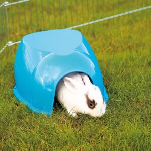 Cocoon