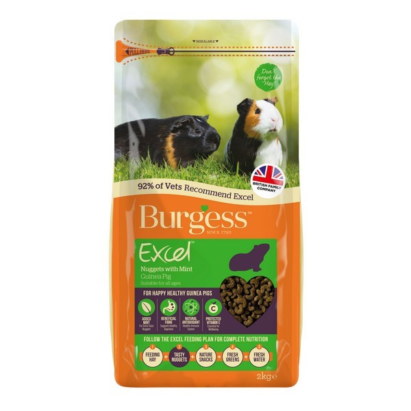 Excel Guinea Pig Nuggets Mint
