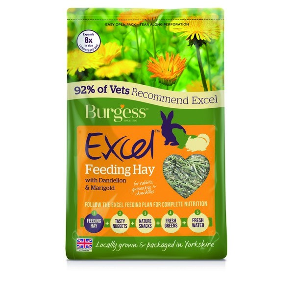 Excel Herbage Dandelion