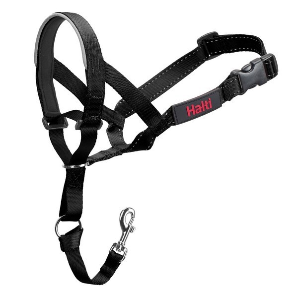 Coa Halti Headcollar