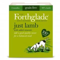 Forthglade Adult Grain Free Just 90% Lamb 395G