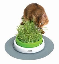 Catit Senses 2.0 Grass Planter
