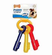 Nylabone Puppy Teething Keys Bacon X Small