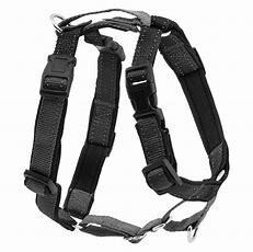 3 In 1 Harness And Car Restraint Black