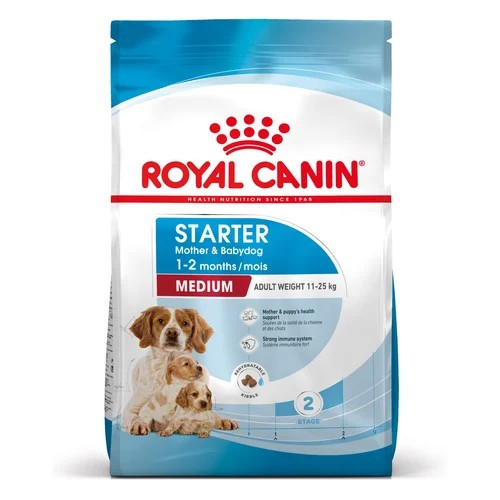 Medium Starter Mother & Babydog