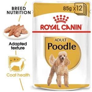 Poodle  85G