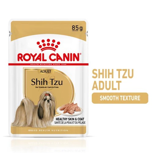 Shih Tzu  85G