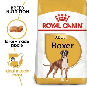 Boxer Adult 12kg