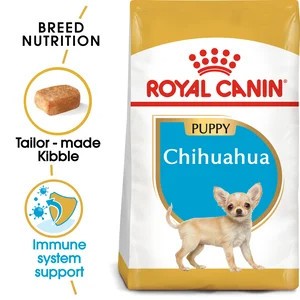 Chihuahua Puppy 1.5Kg
