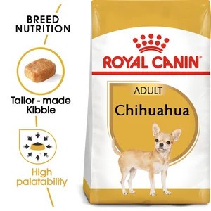 Chihuahua1.5Kg