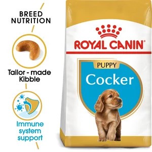 Cocker Puppy 3Kg