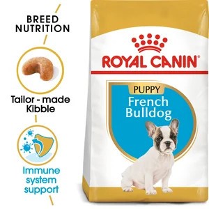 French Bulldog Puppy