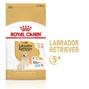 Labrador 5+ 12Kg