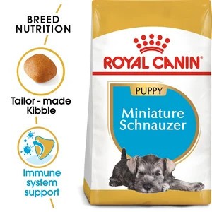Miniature Schnauzer Puppy 1.5Kg