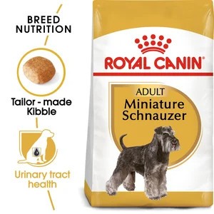 Miniature Schnauzer