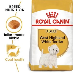 West Highland White Terrier