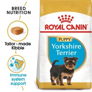 Yorkshire Terrier Puppy 1.5Kg