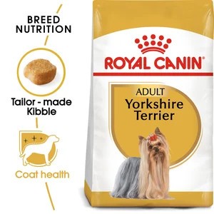 Yorkshire Terrier