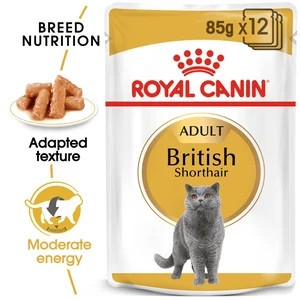 British Shorthair In Gravy 85G