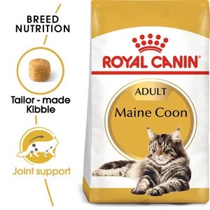 Maine Coon