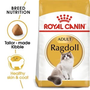 Ragdoll