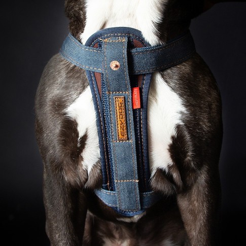 Ezydog Harness Chest Plate Denim