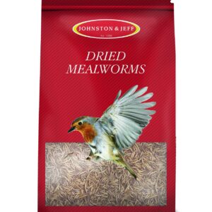Dried Mealworms