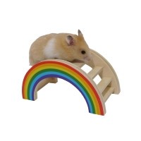 Nibble Stix Rainbow Play Bridge