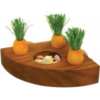 Nibble Stix Carrot Toy 'N' Treat Holder
