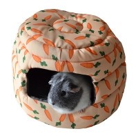 2 In 1 Carrot "Beehive" Bed