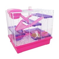 Pico Xl Pink & Purple