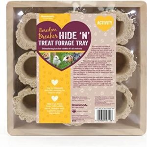 Hide 'N' Treat Forage Tray