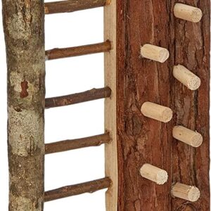 Natural Living Climbing Wall