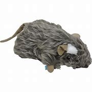 H&C Rat Small