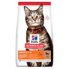 Hill's Science Plan Cat Adult Lamb & Rice