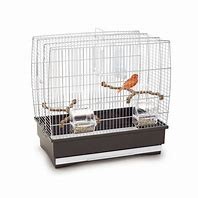 Imac Gabbia Irene Bird Cage