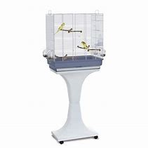 Imac-14755 Agata Bird Cage Stand Gry/Blu