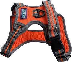 Sports Harness Orange