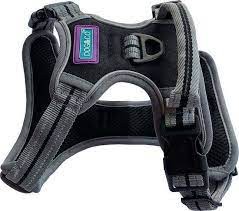 Sports Harness X Small Black