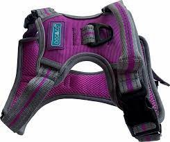 Sports Harness X Small Purple
