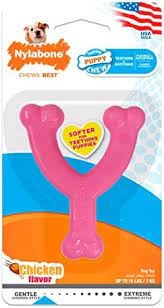 Wishbone Xs Pink Chicken
