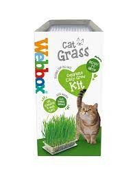 Webbox Cat Grass Kit