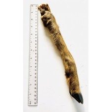 Anco Naturals Roe Deer Leg